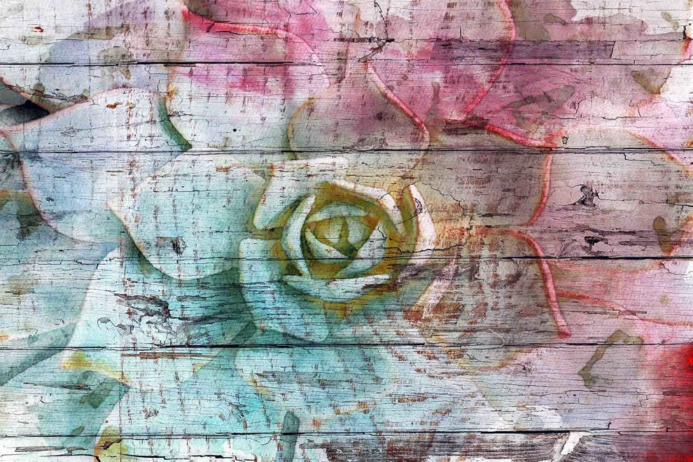 "Sommerwise Sempervivum Plant" Print on Canvas by Irena Orlov