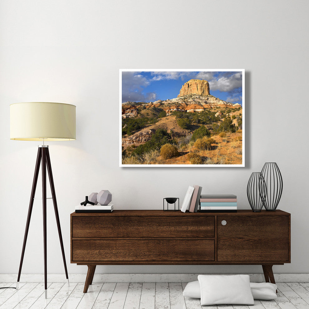 "Square Butte near Kaibito, Arizona" Paper Print by Tim Fitzharris, 50"x38"
