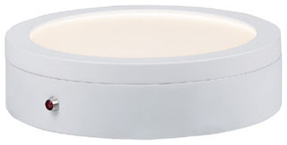 Wafer LED Flush Mount