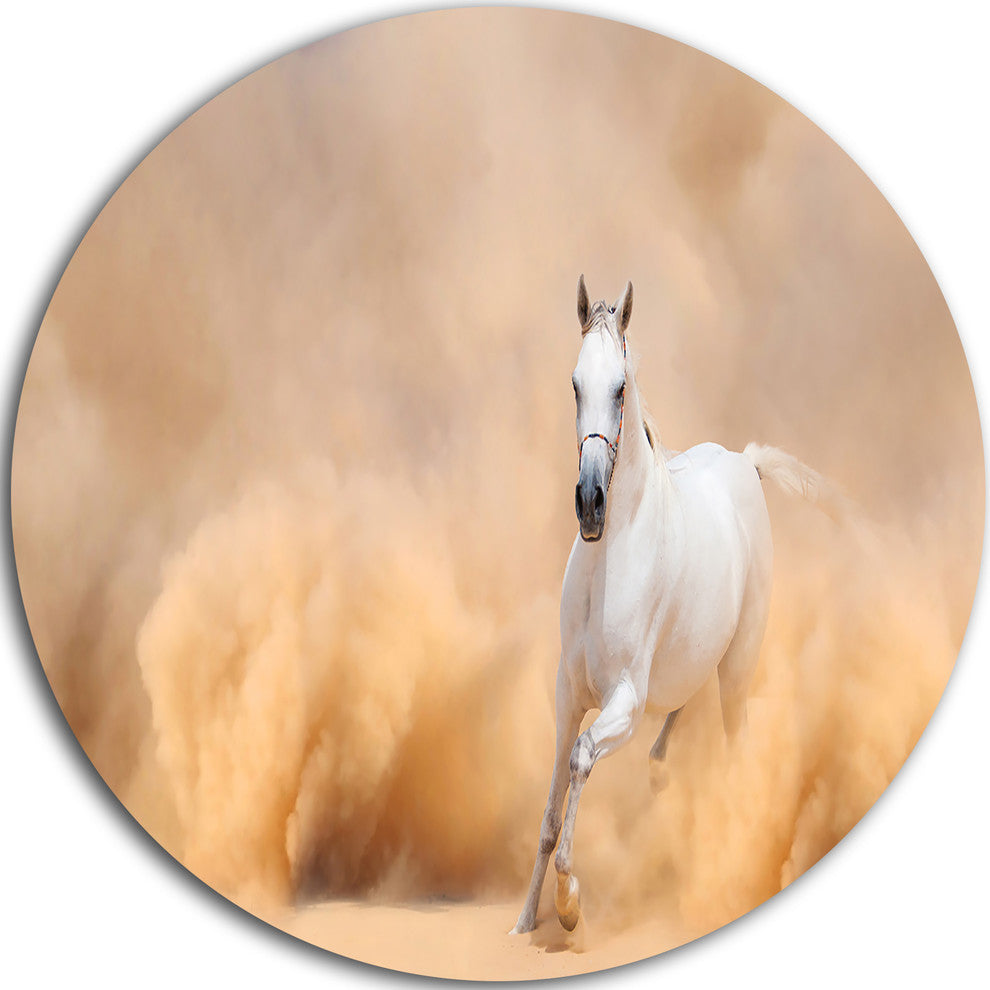 Arabian Horse In Desert Storm, Photography Round Wall Art, 36"