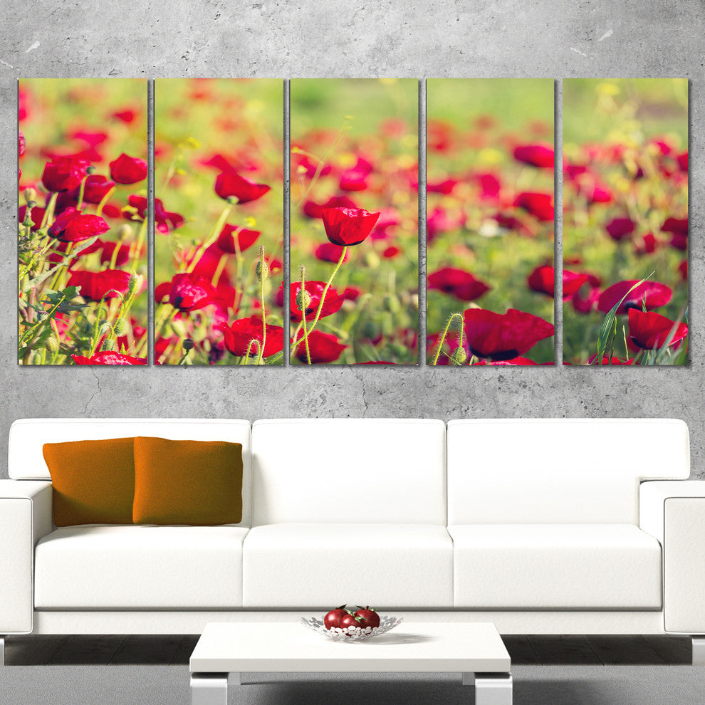 Beautiful Poppy Flowers Background, Large Flower Canvas Print, 60"x28", 5 Panels