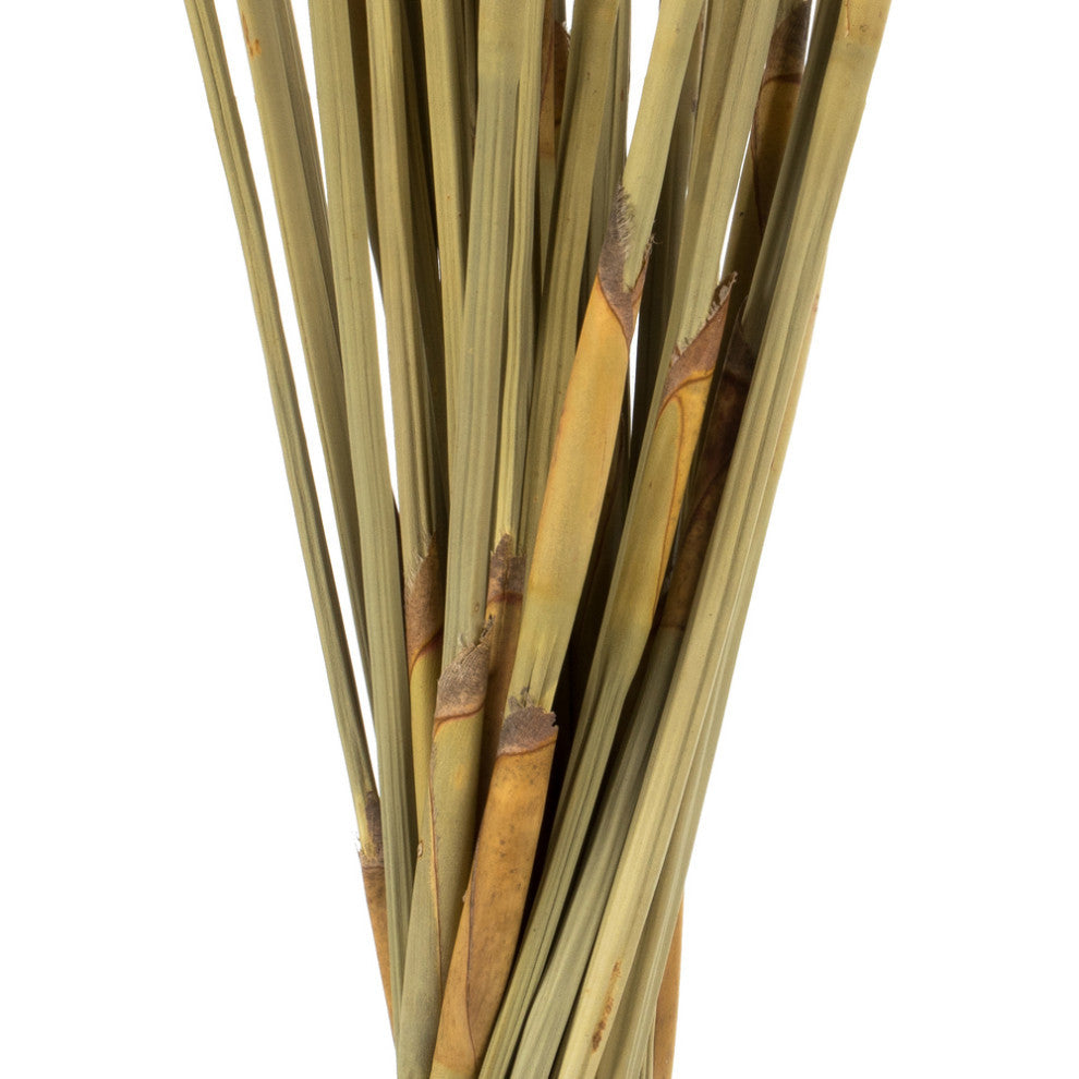 All Natural Elephant Reed, Dried , Natural, 40-42?