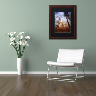 'Sentinel' Matted Framed Canvas Art by Philippe Sainte-Laudy