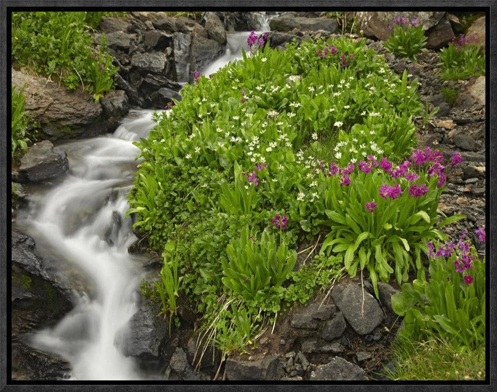 "Porphyry Creek near Silverton, Colorado"  by Tim Fitzharris, 17x13"