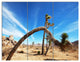 Curved Joshua Tree in Desert, Landscape Wall Art on Canvas, 36x28, 3 Panels
