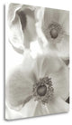 "Florison - 20" By Alan Blaustein, Giclee Print on Gallery Wrap Canvas
