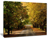 "Road Through Beautiful Green Trees" Landscape Wall Art, 40"x30"