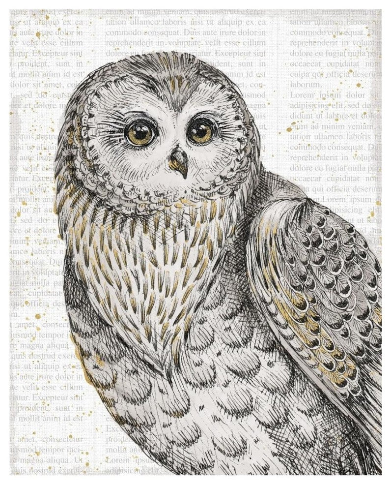 "Beautiful Owls IV" Digital Paper Print by Daphne Brissonnet, 18"x22"