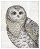 "Beautiful Owls IV" Digital Paper Print by Daphne Brissonnet, 18"x22"