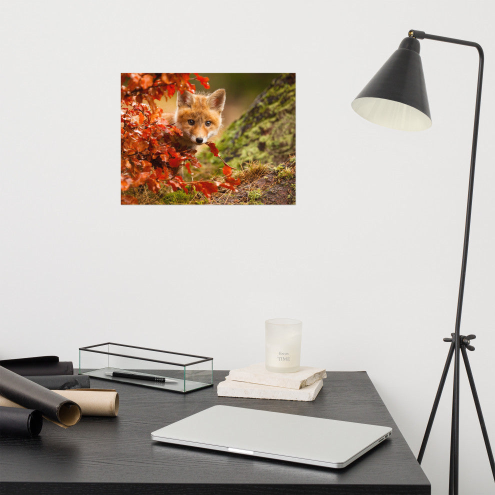 Baby Red Fox Face and Autumn Leaves Animal Wildlife Photo Loose Wall Art Print, 12" X 16"