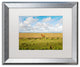 Philippe Sainte-Laudy 'Free as a Horse' Matted Framed Art