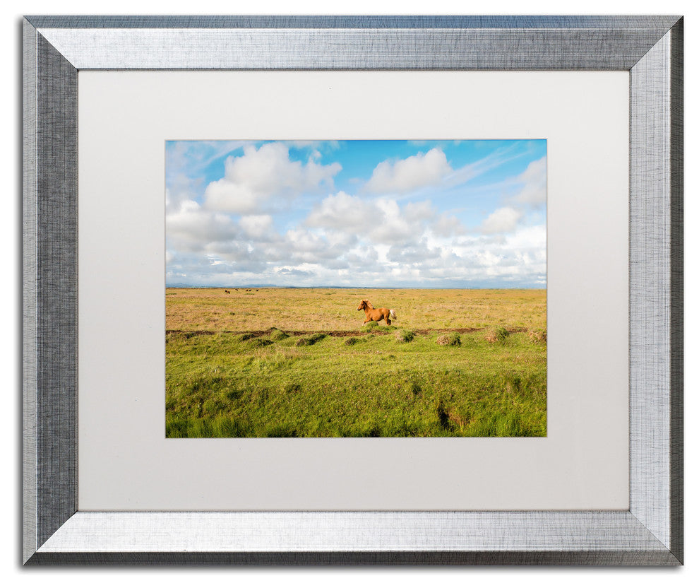 Philippe Sainte-Laudy 'Free as a Horse' Matted Framed Art