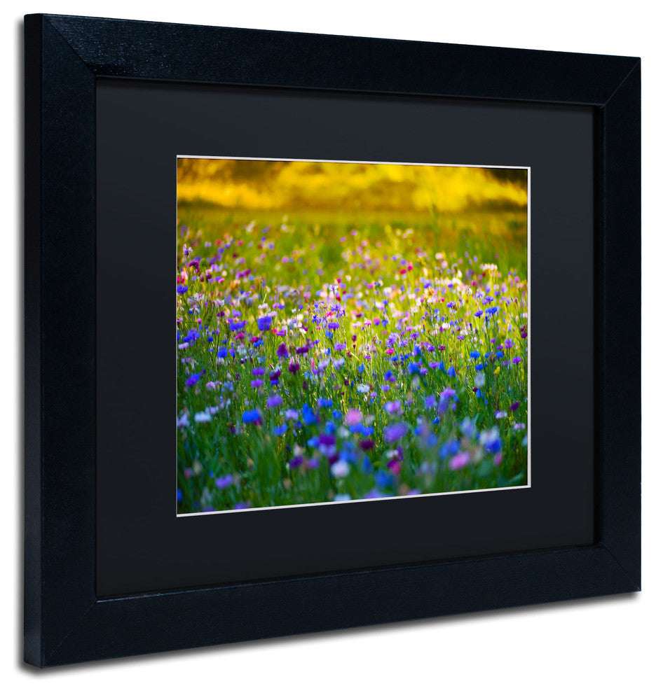 'Candy Fields' Matted Framed Canvas Art by Philippe Sainte-Laudy