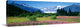 "Fireweed Mendenhall Glacier Juneau AK" Canvas Art, 36"x12"x1.25"