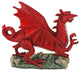 Small Welsh Dragon