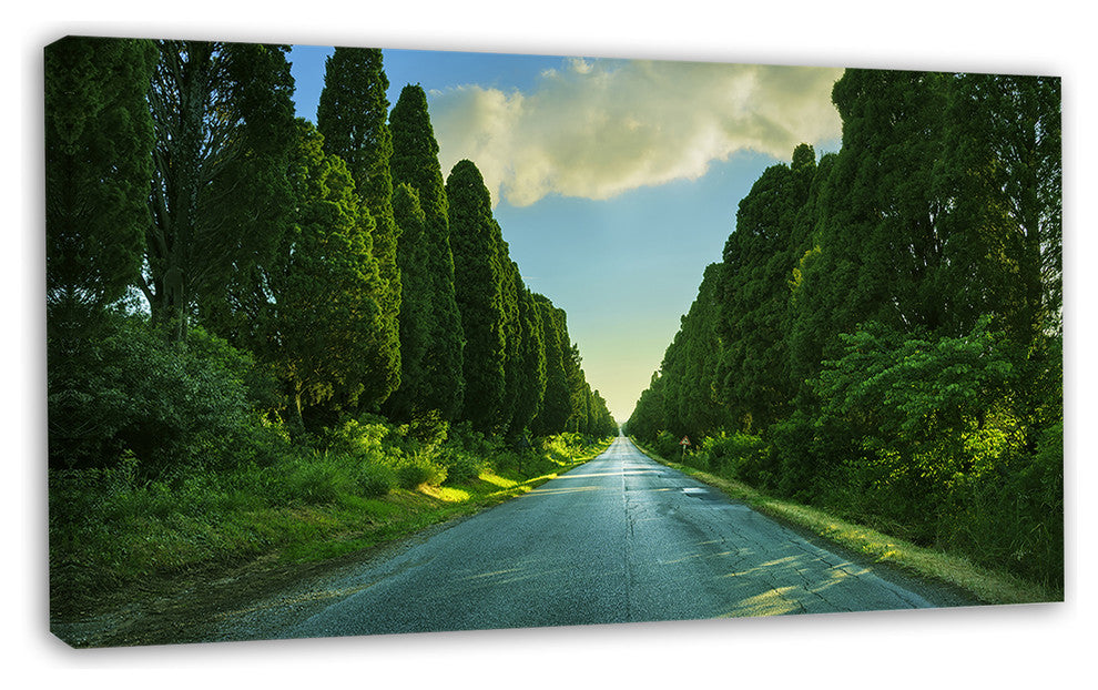 Straight Cypress Trees Boulevard, Modern Landscape Canvas Art, 32"x16"