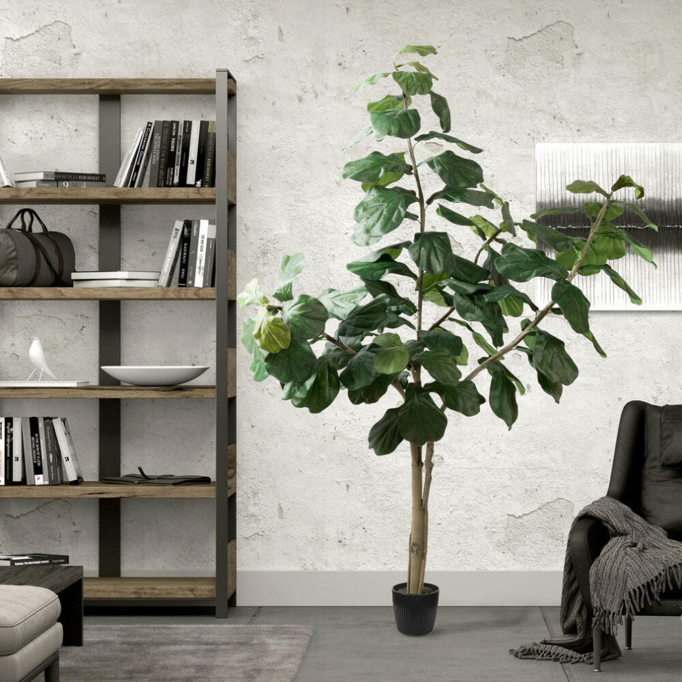 Lifestyle shot in interior setting; full plant visible.