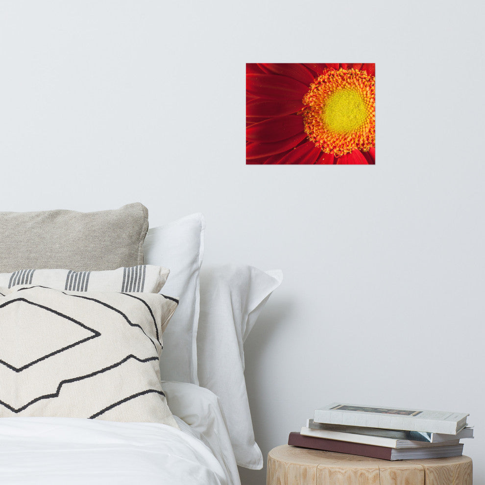 Nature's Beauty Nature Photography, Floral Unframed Wall Art Print, 11" X 14"