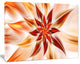 Dance of Brown Exotic Flower, Floral Canvas Art Print, 20"x12"