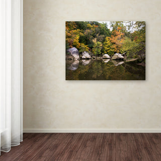 'Graffiti Fall' Canvas Art by Kurt Shaffer