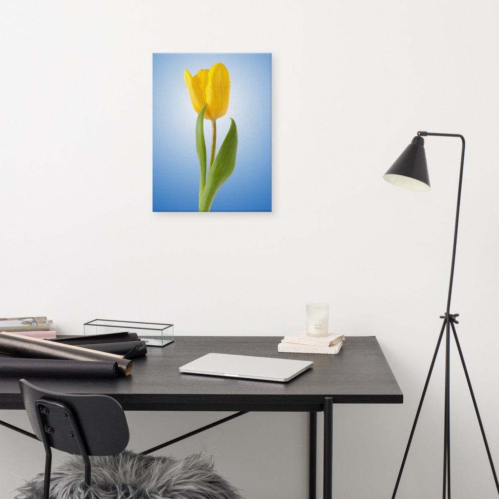 Yellow Tulip Minimal Botanical Floral Nature Photo Canvas Wall Art Print, 18" X 24"