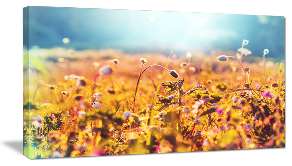 Little Mountain Flowers on Sunny Day, Large Flower Canvas Wall Art, 32"x16"