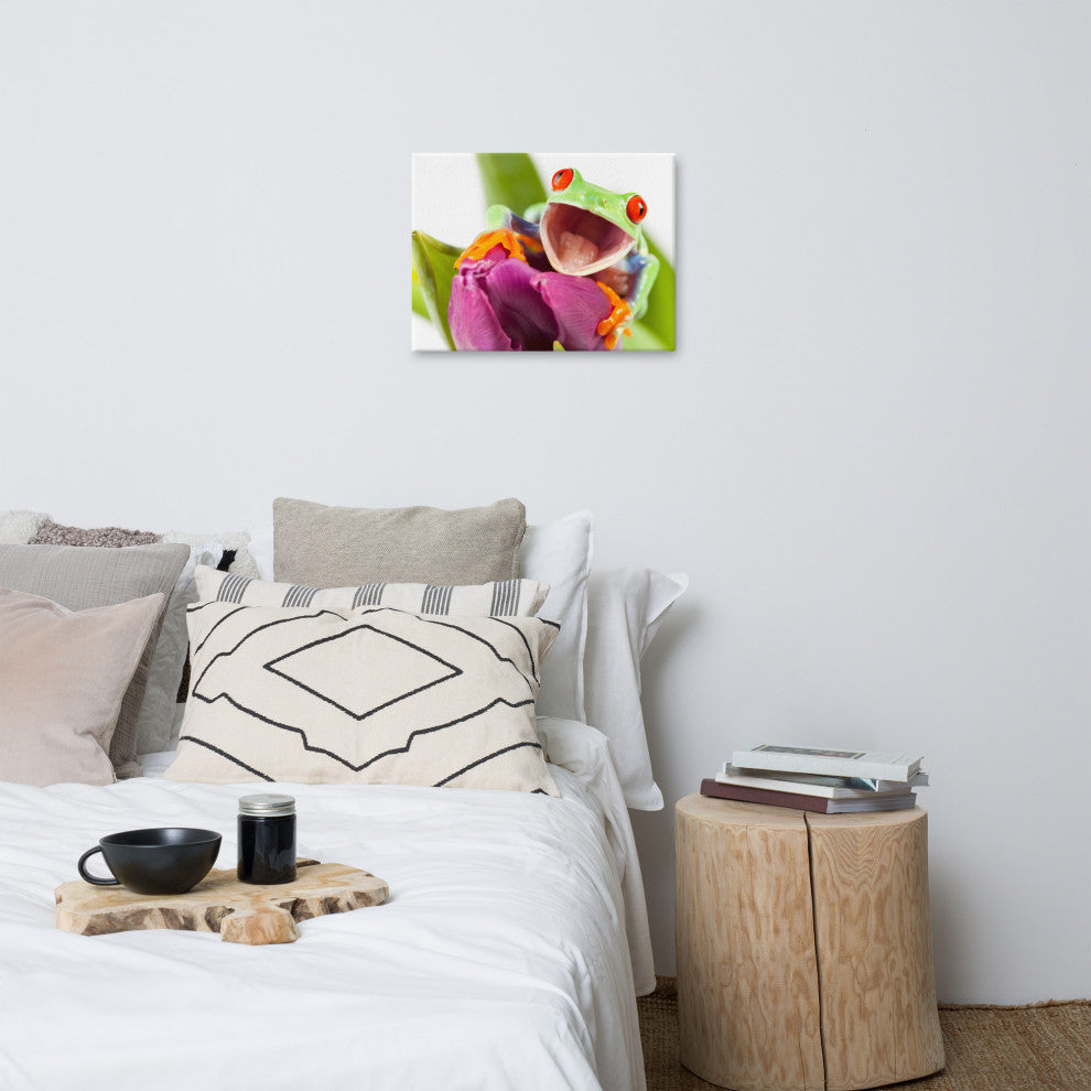 Red Eyed Tree Frog on Purple Tulip Flower Wildlife Photo Canvas Wall Art Print, 18" X 24"