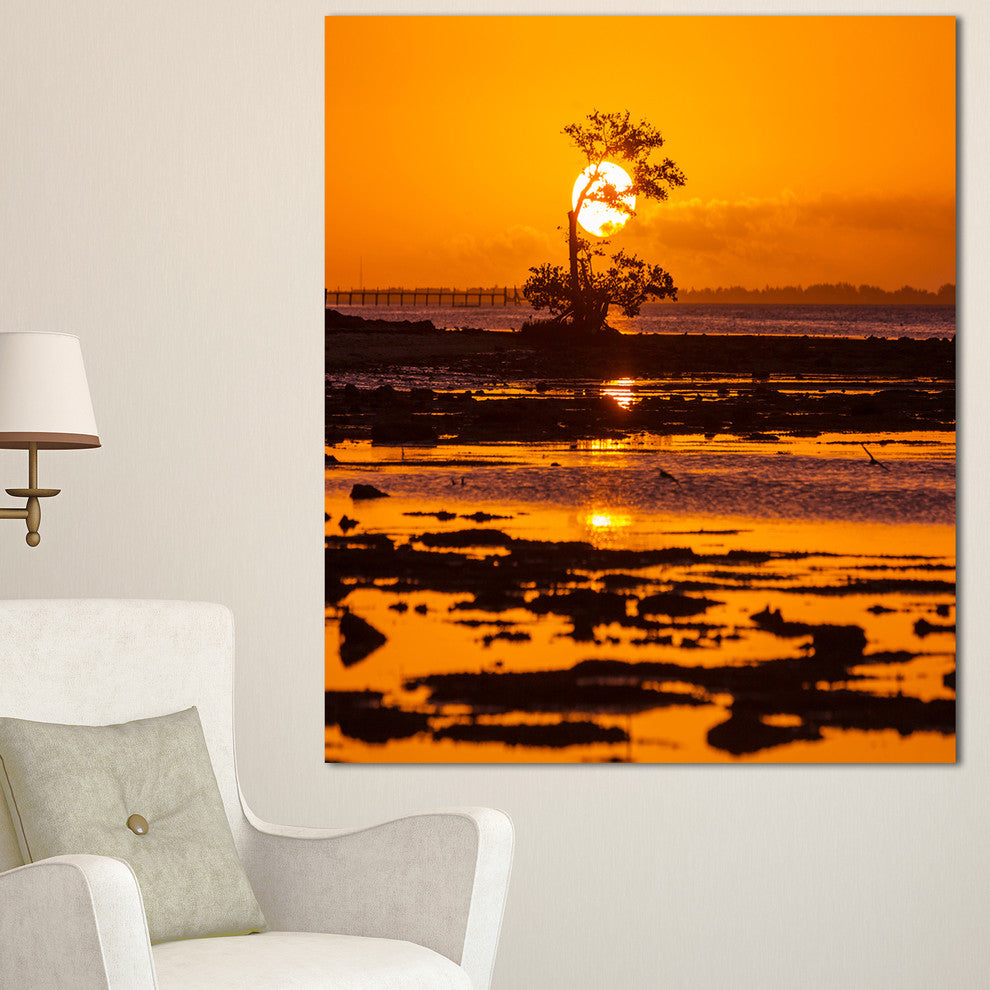 Lonely Mangrove in Florida Coast, African Landscape Canvas Art Print, 30"x40"