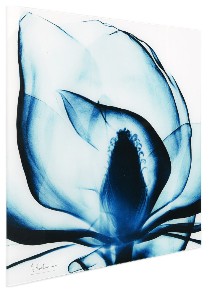 Blue Magnolia X-Ray Flower Wall Art Frameless Free Floating Tempered Glass Panel
