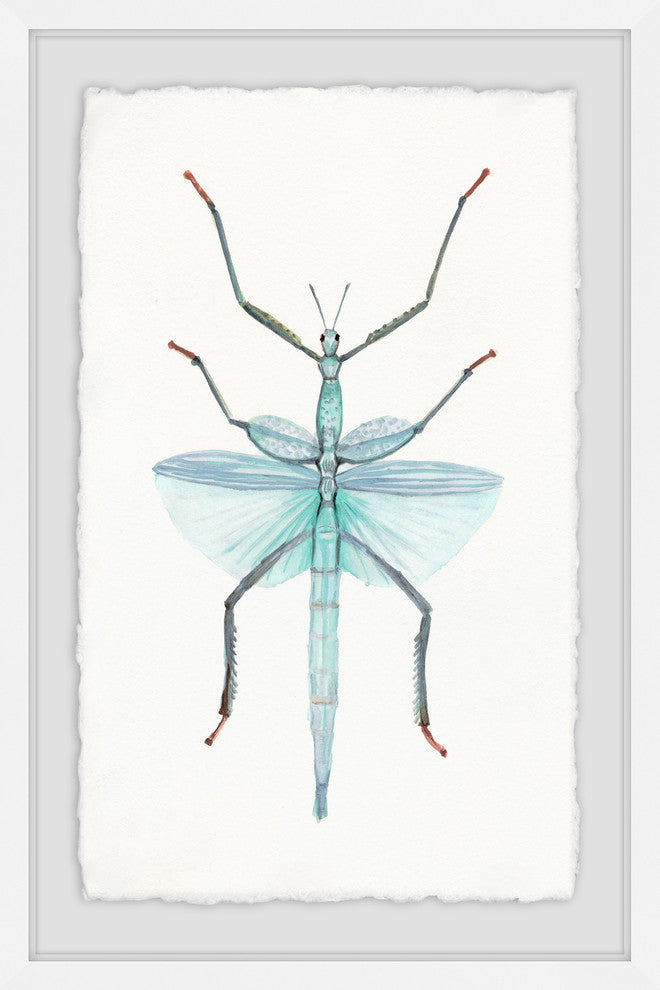 "Green Walking Stick" Framed Painting Print, 30"x45"
