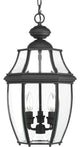 Progress Lighting New Haven 3-Light, Black Hanging Lantern