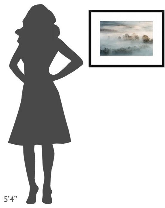 "Winter Fog" Framed Digital Print by Marco Galimberti, 26"x20"