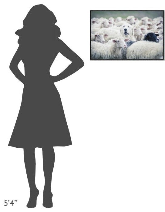 "In Disguise" Framed Canvas Giclee by Adrian Popan, 25x17"