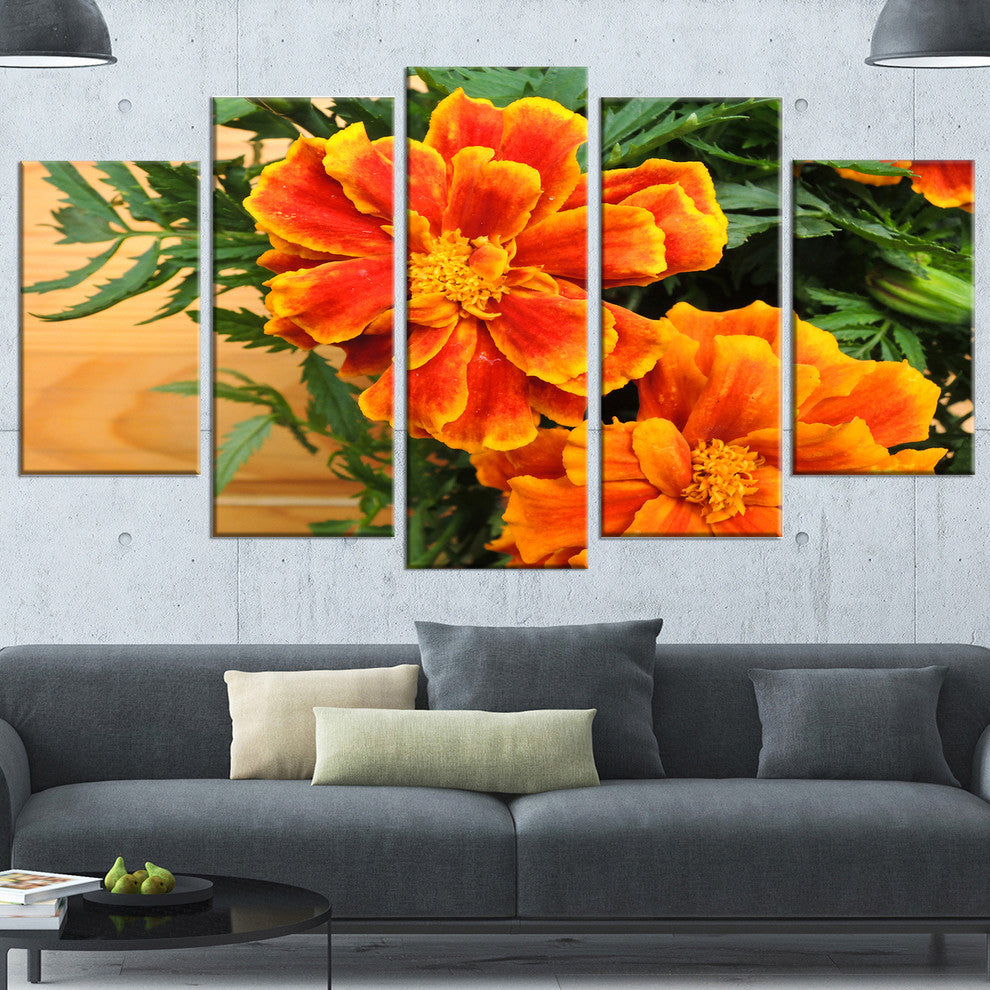 Marigold Flower on Wooden Background, Floral Canvas Art Print, 60"x32", 5 Panels