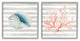 Nautical Curved Shell Pink Coral,12 x 12