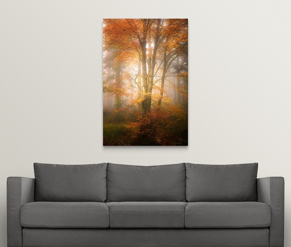 "Alone in the Fog" Wrapped Canvas Art Print, 32"x48"x1.5"