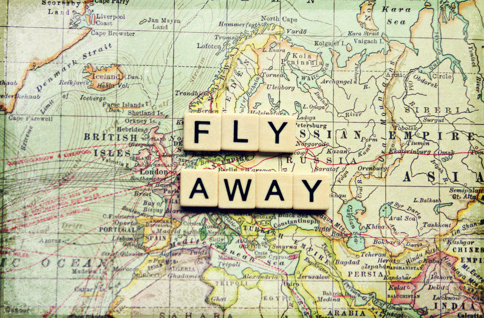 "Fly Away" Print on Canvas by Sylvia Cook