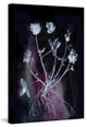 Marmont Hill, "Dark Garden" by Christine Lindstrom on Wrapped Canvas, 16x24