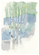 "Aspens II Crop V2" Digital Paper Print by Avery Tillmon, 22"x26"