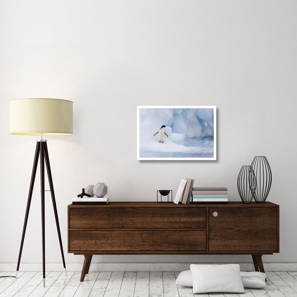 "Adelie Penguin on melting iceberg, Paulet Island" Paper Art, 32"x22"
