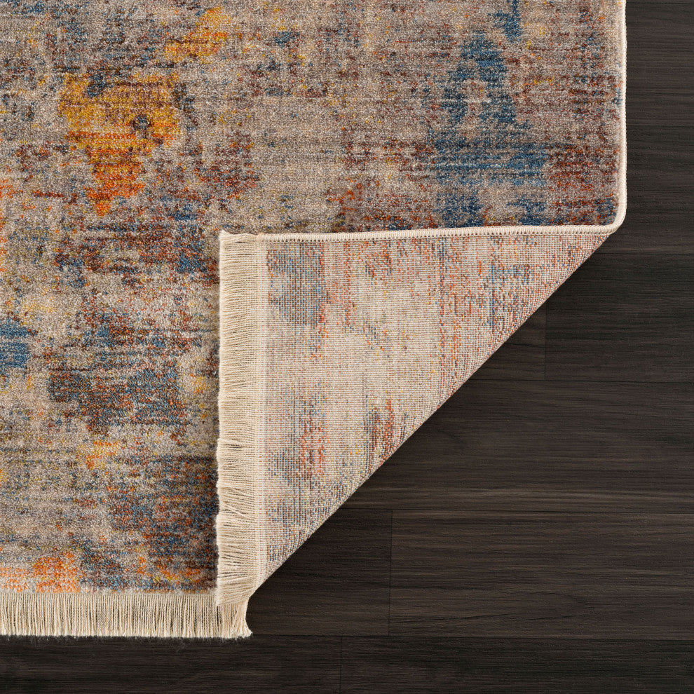 Distressed Desert Modern Area Rug, 2' X 3'