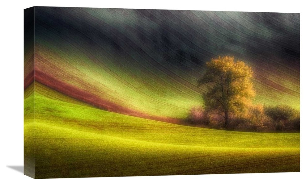 "Moravian Fields" Stretched Canvas Giclee by Piotr (Bax) Krol, 22"x14"