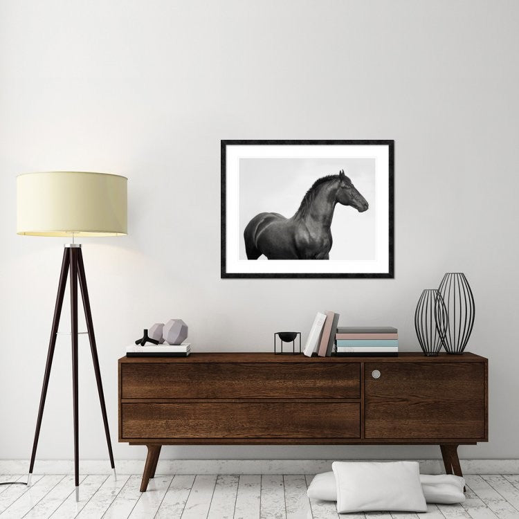 "King Mamba, Stallion" Framed Digital Print by Pangea Images, 40x32"