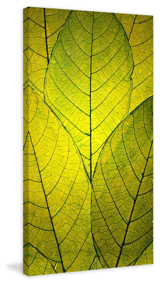 "Every Leaf a Flower" Painting Print on Wrapped Canvas