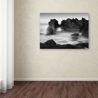 'Gate' Canvas Art by Moises Levy