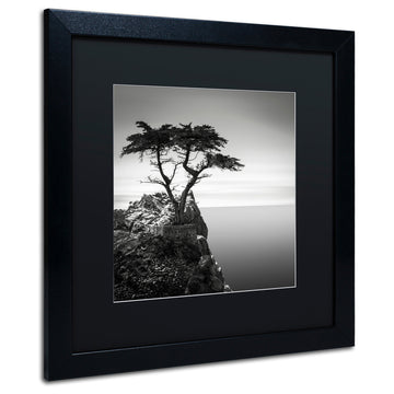 ''The Lone Cypress'' Matted Framed Canvas Art by Dave MacVicar