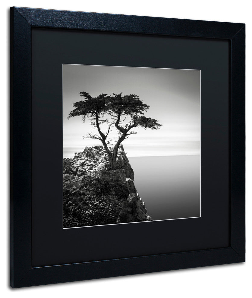 'The Lone Cypress' Matted Framed Canvas Art by Dave MacVicar