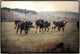 45x30 Greet II, Framed Artwork, Silver