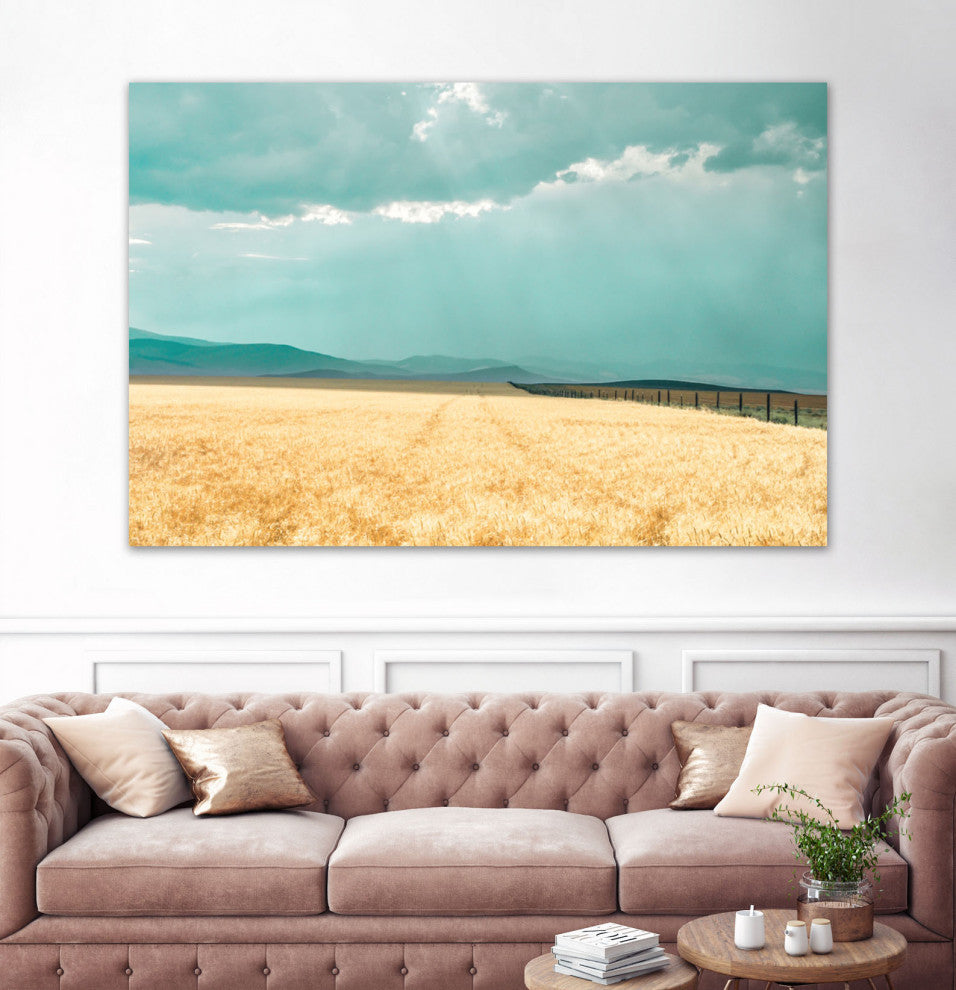 Harvest Shadow - 72 x 48 by Annie Bailey Art