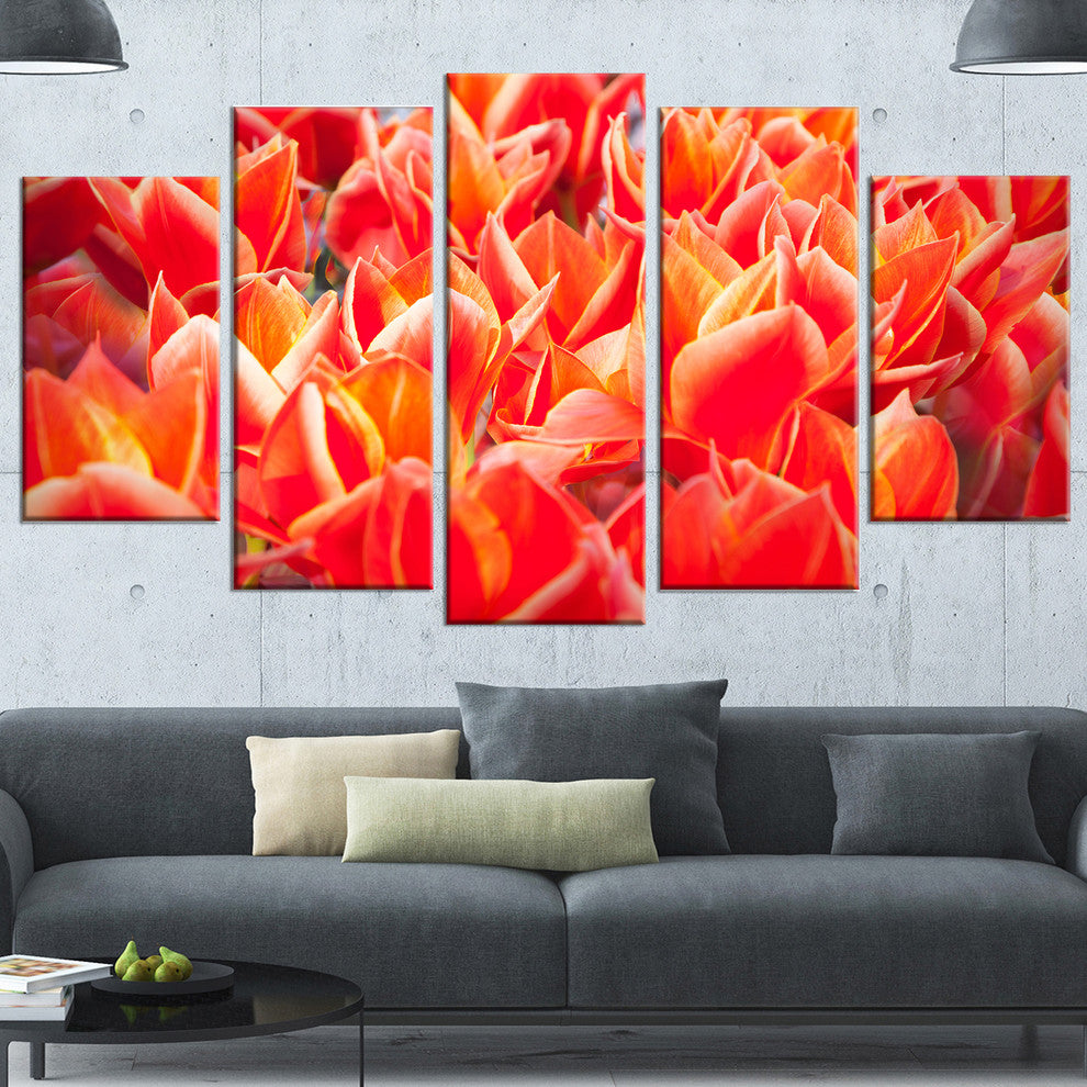 Tulip Flowers in the Keukenhof Park, Floral Canvas Print, 60"x32", 5 Panels